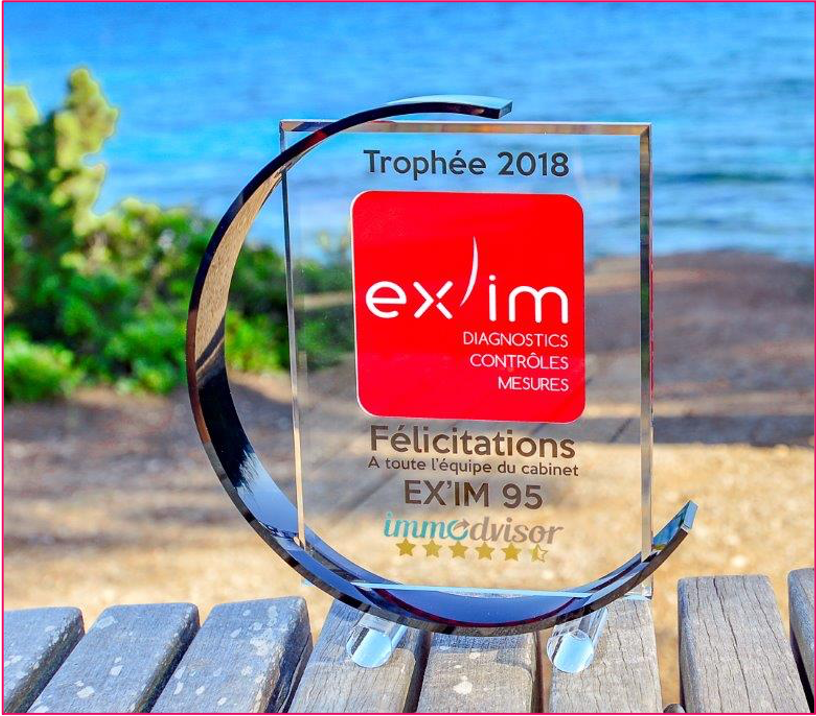 Trophée Fiche Google